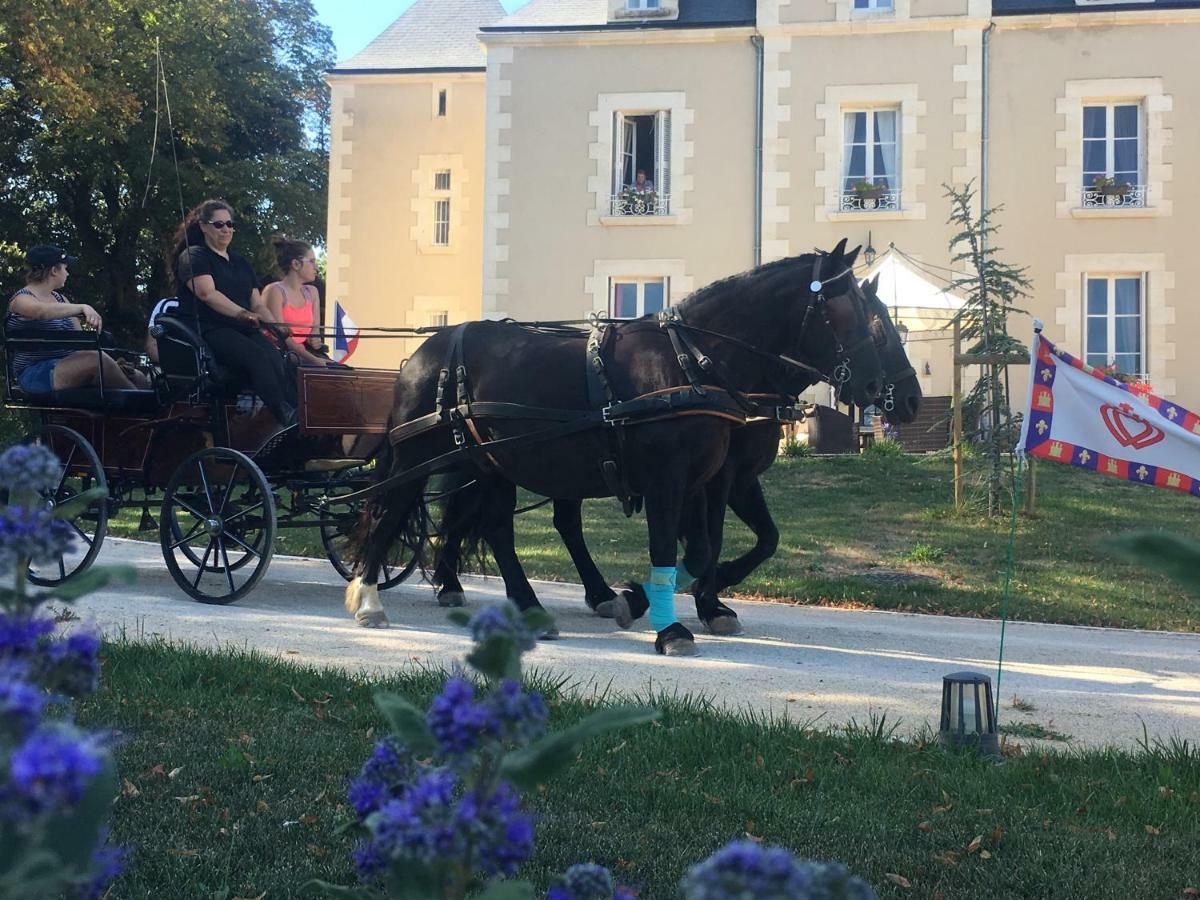Le Petit Chateau Des Cedres Mouchamps エクステリア 写真