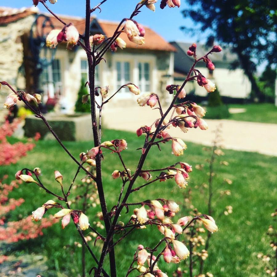 Le Petit Chateau Des Cedres Mouchamps エクステリア 写真